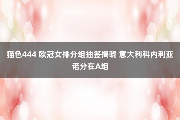 猫色444 欧冠女排分组抽签揭晓 意大利科内利亚诺分在A组