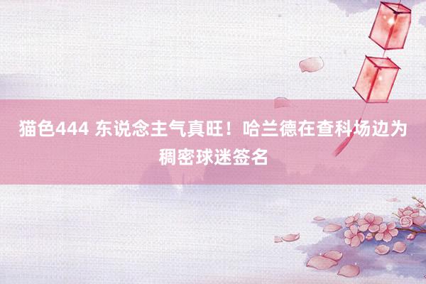 猫色444 东说念主气真旺！哈兰德在查科场边为稠密球迷签名