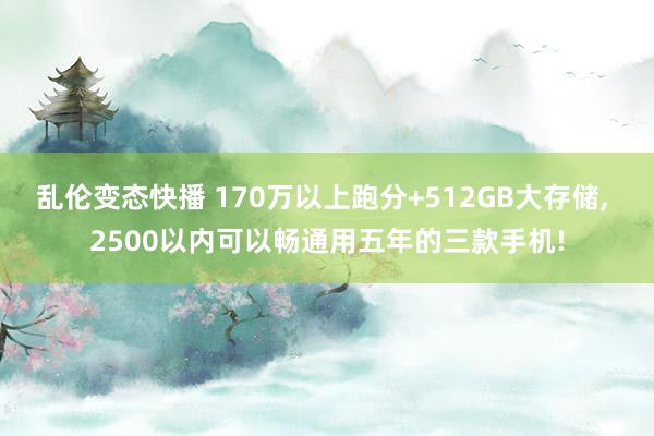 乱伦变态快播 170万以上跑分+512GB大存储, 2500以内可以畅通用五年的三款手机!