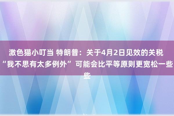 激色猫小叮当 特朗普：关于4月2日见效的关税 “我不思有太多例外” 可能会比平等原则更宽松一些