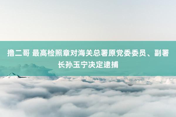 撸二哥 最高检照章对海关总署原党委委员、副署长孙玉宁决定逮捕