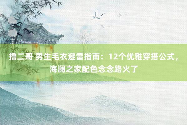 撸二哥 男生毛衣避雷指南：12个优雅穿搭公式，海澜之家配色念念路火了