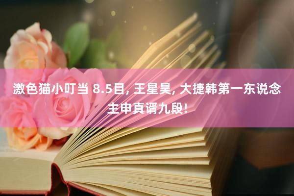 激色猫小叮当 8.5目, 王星昊, 大捷韩第一东说念主申真谞九段!