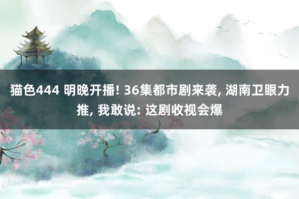 猫色444 明晚开播! 36集都市剧来袭, 湖南卫眼力推, 我敢说: 这剧收视会爆